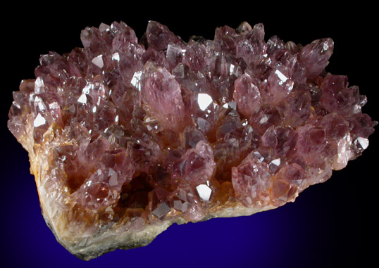 Quartz var. Amethyst over Sphalerite from Bansk Stiavnica (Schemnitz), Bansk Bystrica, Stiavnicke Mountains, Slovak Republic (Slovakia)