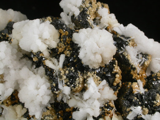 Calcite, Siderite, Sphalerite from Naica District, Saucillo, Chihuahua, Mexico