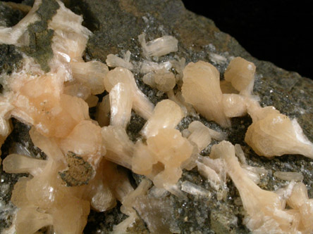 Stilbite from Millington Quarry, Bernards Township, Somerset County, New Jersey