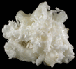 Aragonite var. Flos Ferri from Zacatecas, Mexico