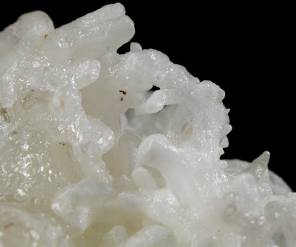 Aragonite var. Flos Ferri from Zacatecas, Mexico