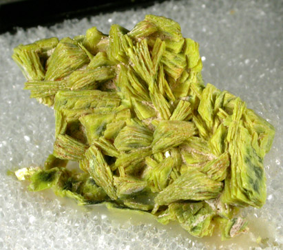 Meta-autunite from Daybreak Mine, near Mount Spokane, Spokane County, Washington