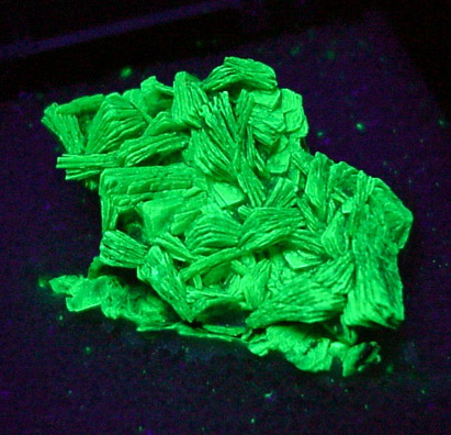 Meta-autunite from Daybreak Mine, near Mount Spokane, Spokane County, Washington