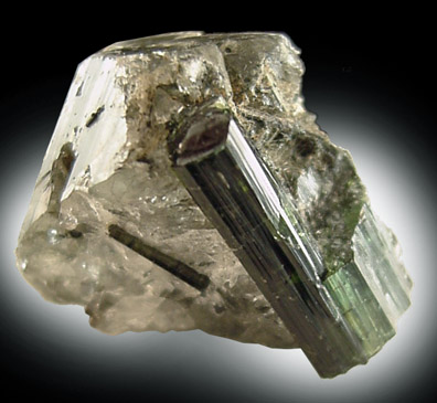 Elbaite Tourmaline in Quartz from Minas Gerais, Brazil