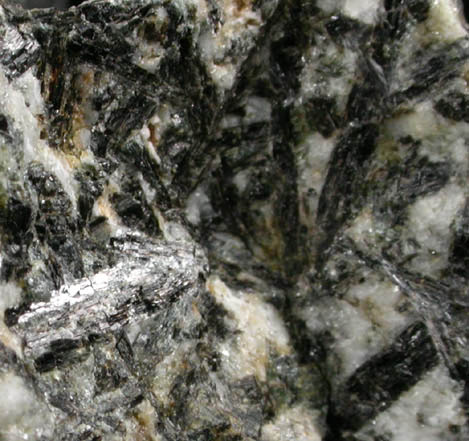 Ferropargasite var. Barkevikite from San Benito County, California