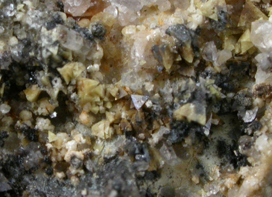 Helvite from Tungsten Hill, Victorio District, Luna County, New Mexico