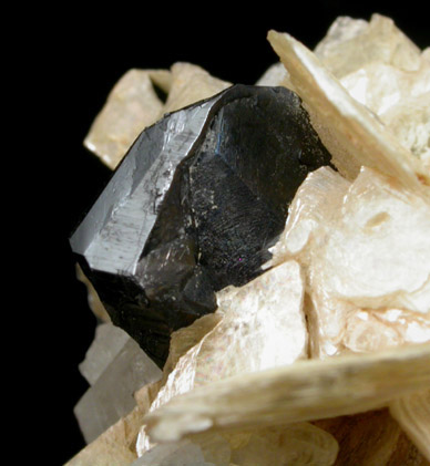 Cassiterite (twinned crystals) on Muscovite from Corrego do Urucum, Galileia, Minas Gerais, Brazil