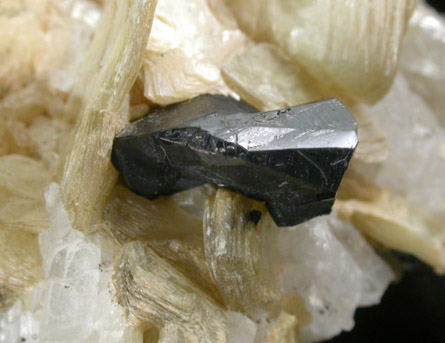 Cassiterite (twinned crystals) on Muscovite from Corrego do Urucum, Galileia, Minas Gerais, Brazil