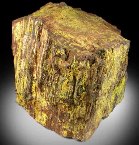 Uranophane on Petrified Wood from Happy Jack Mine, White Canyon District, San Juan County, Utah