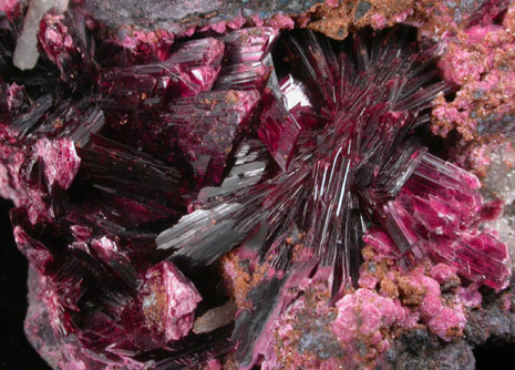 Erythrite, Arhbarite, Pharmacolite from Bou Azzer District, Anti-Atlas Mountains, Tazenakht, Ouarzazate, Morocco (Type Locality for Arhbarite and Erythrite)