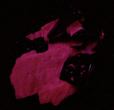 Fluoro-richterite (Fluororichterite) from Earle Farm, Wilberforce, Ontario, Canada