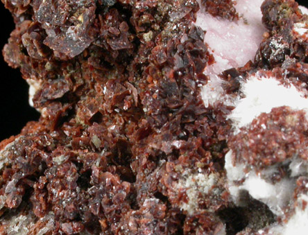 Rhodochrosite, Leifite, Microcline, Albite, Elpidite from Poudrette Quarry, Mont Saint-Hilaire, Québec, Canada