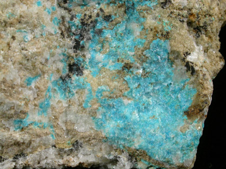 Serpierite from Pitiquito, Sonora, Mexico