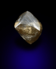 Diamond (0.64 carat brown dodecahedral crystal) from Oranjemund District, southern coastal Namib Desert, Namibia