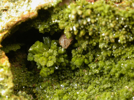 Pyromorphite from Allah Cooper (Valcooper) Mine, Contrary Creek District, near Mineral, Louisa County, Virginia