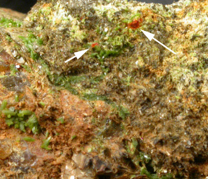 Pyromorphite and Wulfenite on Pyrophyllite from Allah Cooper (Valcooper) Mine, Contrary Creek District, near Mineral, Louisa County, Virginia