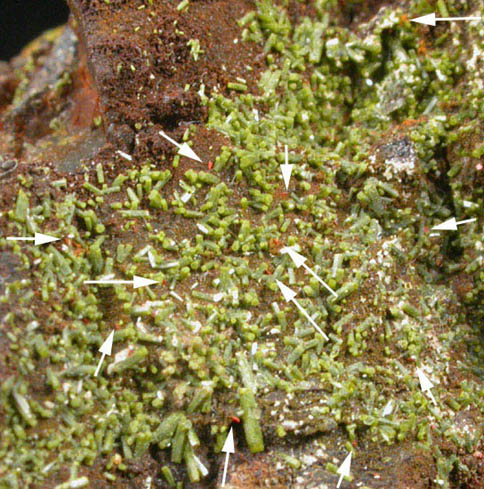 Pyromorphite and Wulfenite on Pyrophyllite from Allah Cooper (Valcooper) Mine, Contrary Creek District, near Mineral, Louisa County, Virginia