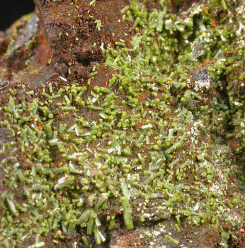 Pyromorphite and Wulfenite on Pyrophyllite from Allah Cooper (Valcooper) Mine, Contrary Creek District, near Mineral, Louisa County, Virginia