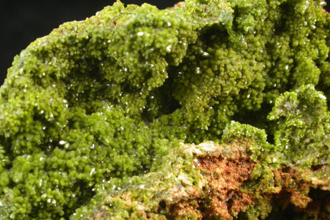 Pyromorphite and Wulfenite from Allah Cooper (Valcooper) Mine, Contrary Creek District, near Mineral, Louisa County, Virginia