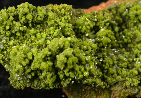 Pyromorphite from Allah Cooper (Valcooper) Mine, Contrary Creek District, near Mineral, Louisa County, Virginia