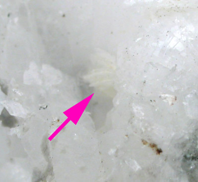 Nabesite (IMA 2000-024) from Kvanefjeld Plateau, Julianehaab District, Ilmaussaq, Greenland (Type Locality for Nabesite)