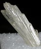 Aragonite (fluorescent) from Cairns Bay, Flinders, Victoria, Australia