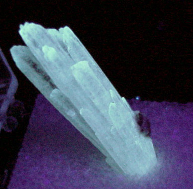 Aragonite (fluorescent) from Cairns Bay, Flinders, Victoria, Australia