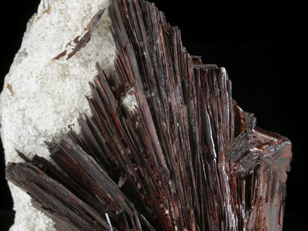 Hbnerite from Adams Mine, Silverton Mining District, San Juan County, Colorado