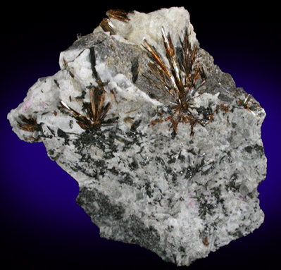 Astrophyllite from De-Mix Quarry, Mont Saint-Hilaire, Quebec, Canada