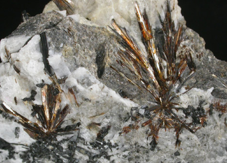 Astrophyllite from De-Mix Quarry, Mont Saint-Hilaire, Qubec, Canada