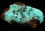 Aurichalcite from Mapimi District, Durango, Mexico