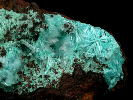 Aurichalcite from Mapimi District, Durango, Mexico