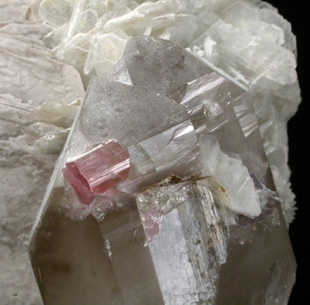 Elbaite Tourmaline on Quartz with Albite, Microcline, Lepidolite from Himalaya Mine, Mesa Grande District, San Diego County, California