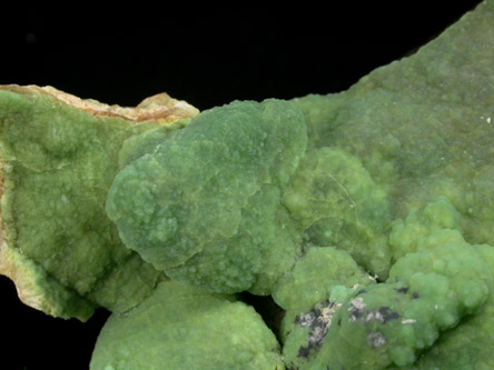 Wavellite on Smoky Quartz from Slate Mountain, El Dorado County, California