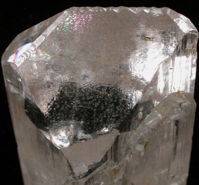 Danburite from Charcas District, San Luis Potosi, Mexico