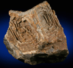 Quartz pseudomorph after Halite from Leonardsville, Butte Mining District, Summit Valley, Silver Bow County, Kansas