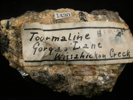 Schorl Tourmaline from Gorgas Lane, Wissahickon Creek, Philadelphia, Pennsylvania