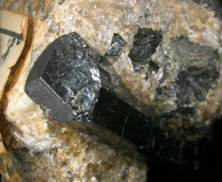 Schorl Tourmaline from Gorgas Lane, Wissahickon Creek, Philadelphia, Pennsylvania