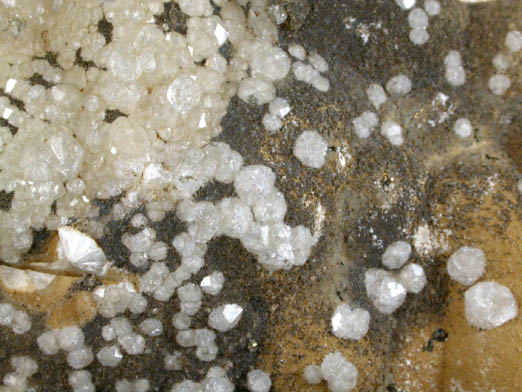 Analcime on Pectolite from Millington Quarry, Bernards Township, Somerset County, New Jersey
