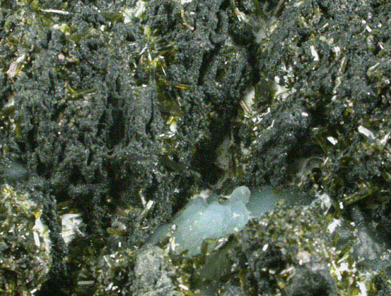 Epidote on Prehnite from Bull Run Quarry, near Conklin, Loudoun County, Virginia