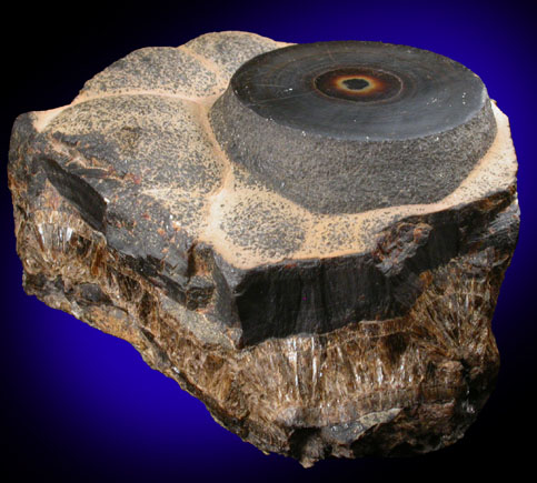 Collinsite from Francois Lake, British Columbia, Canada (Type Locality for Collinsite)