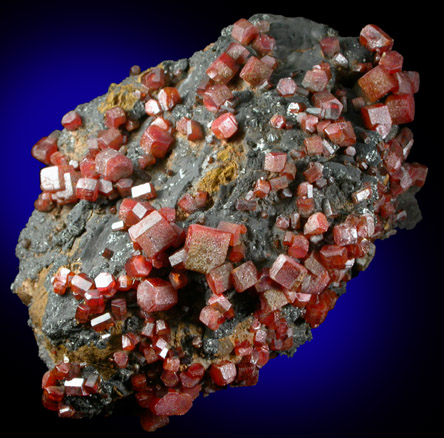 Vanadinite on Fe-Mn-oxide from Taouz, Errachidia, Meknes-Tafilalet, Morocco