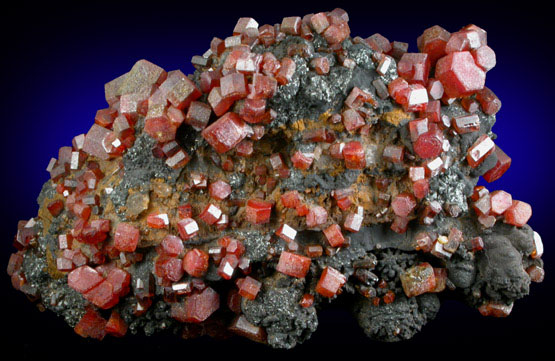 Vanadinite on Fe-Mn-oxide from Taouz, Errachidia, Meknes-Tafilalet, Morocco