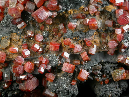 Vanadinite on Fe-Mn-oxide from Taouz, Errachidia, Meknes-Tafilalet, Morocco