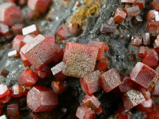 Vanadinite on Fe-Mn-oxide from Taouz, Errachidia, Meknes-Tafilalet, Morocco