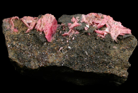 Rhodonite var. Paisbergite from Pajsberg, Värmland, Sweden