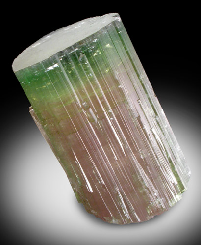 Elbaite var. Watermelon Tourmaline from Paprok, Kamdesh District, Nuristan Province, Afghanistan