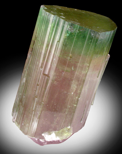 Elbaite var. Watermelon Tourmaline from Paprok, Kamdesh District, Nuristan Province, Afghanistan