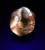Diamond (0.30 carat brown dodecahedral crystal) from Majhgawan Pipe, near Panna, Madhya Pradesh, India