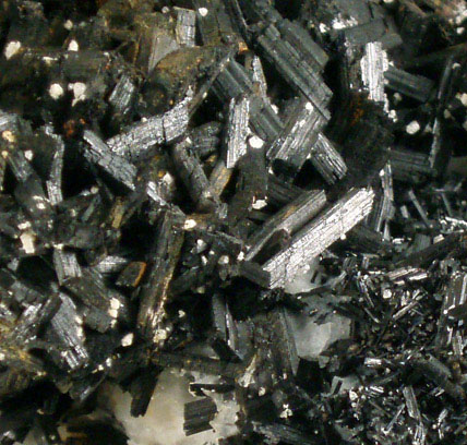 Ludwigite from Spring Mountain District, Lemhi County, Idaho